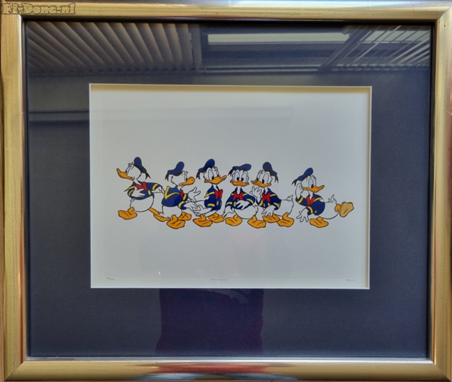 Donald Duck Sowa & Reiser